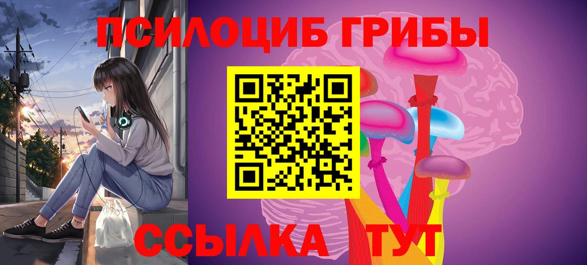 Кстово  Псилоцибиновые грибы Psilocybe  Галлюциногенные грибы Psilocybe  Вход с VPN 