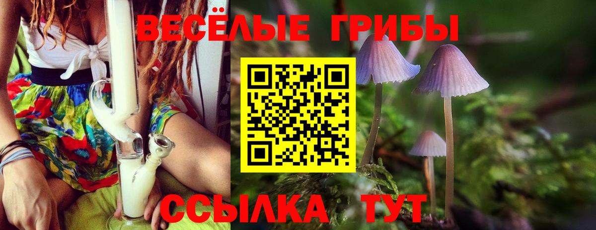 Галлюциногенные грибы Magic Shrooms Кстово